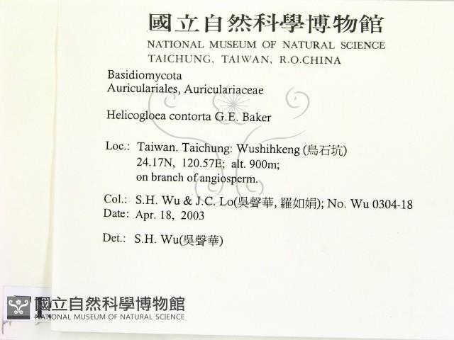 登錄號:F0015078藏品圖，第2張