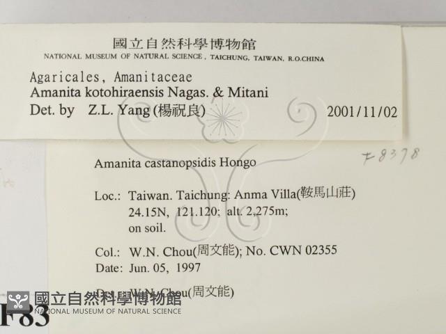 登錄號:F0008378藏品圖，第2張