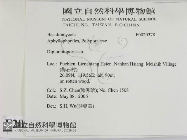 登錄號:F0020378藏品圖，第2張