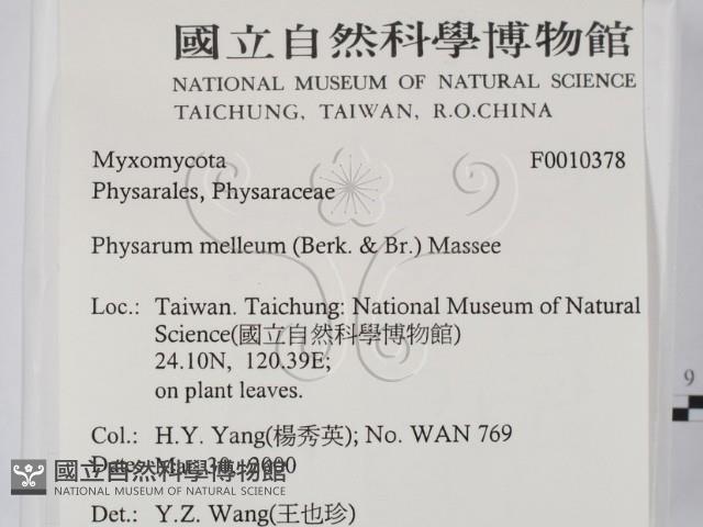 登錄號:F0010378藏品圖，第2張