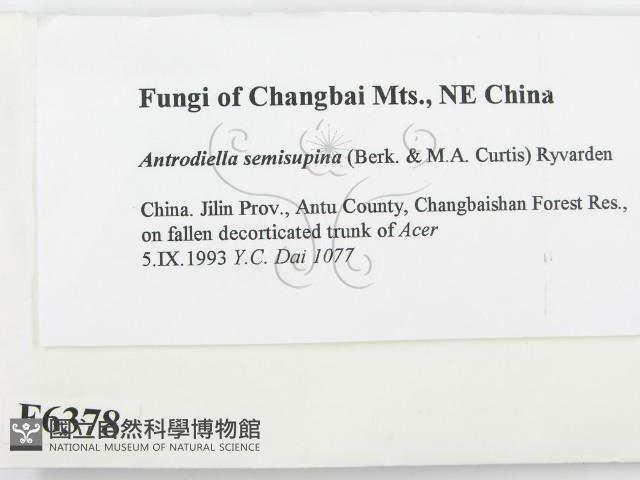 登錄號:F0006378藏品圖，第2張