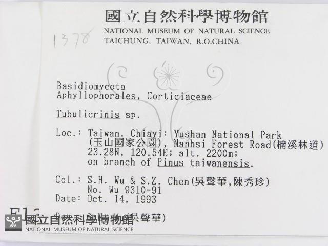 登錄號:F0001378藏品圖，第2張