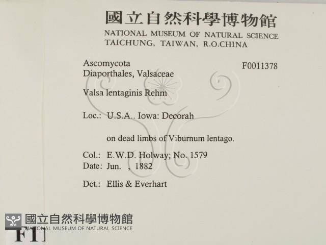 登錄號:F0011378藏品圖，第2張