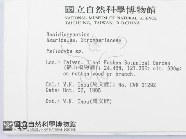 登錄號:F0004378藏品圖，第2張