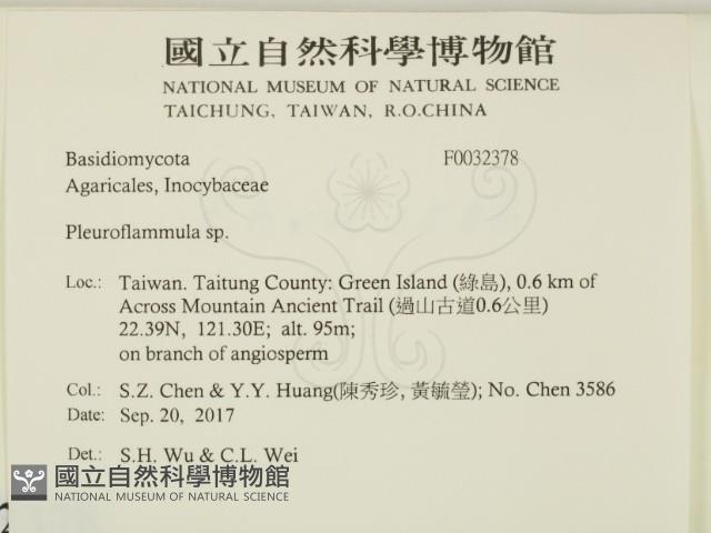 登錄號:F0032378藏品圖，第2張