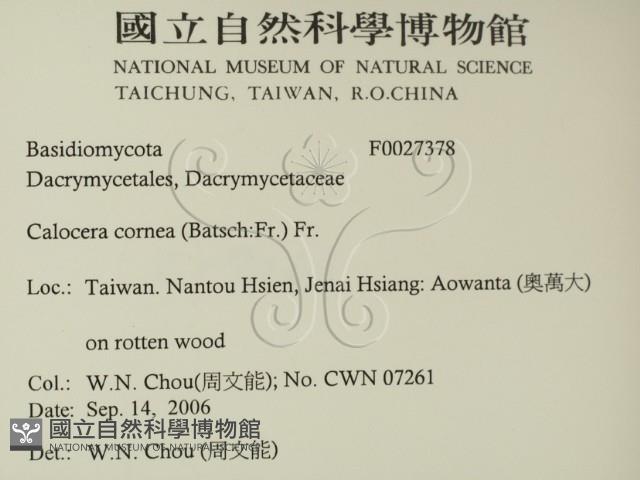 登錄號:F0027378藏品圖，第2張