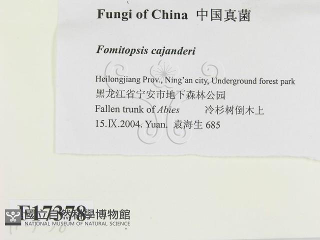 登錄號:F0017378藏品圖，第2張