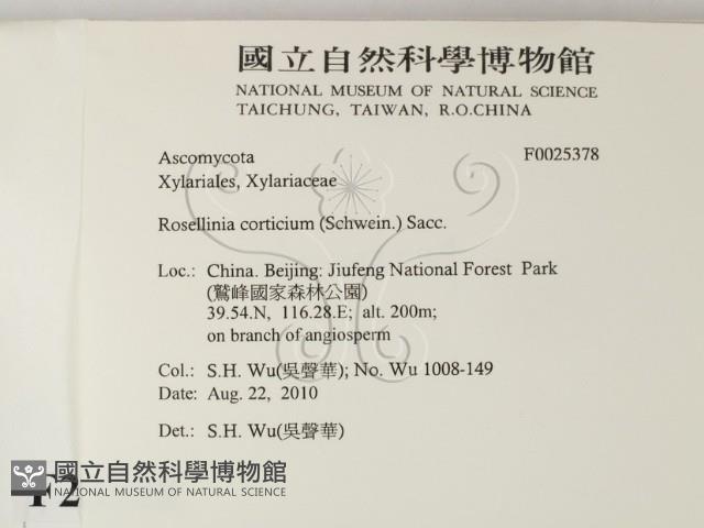 登錄號:F0025378藏品圖，第2張