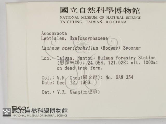 登錄號:F0005378藏品圖，第2張