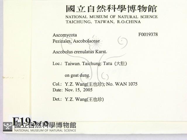 登錄號:F0019378藏品圖，第2張
