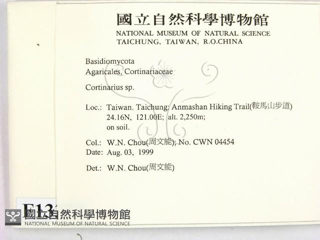 登錄號:F0013378藏品圖，第2張
