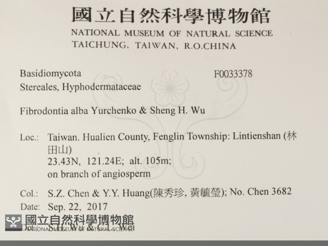 登錄號:F0033378藏品圖，第1張