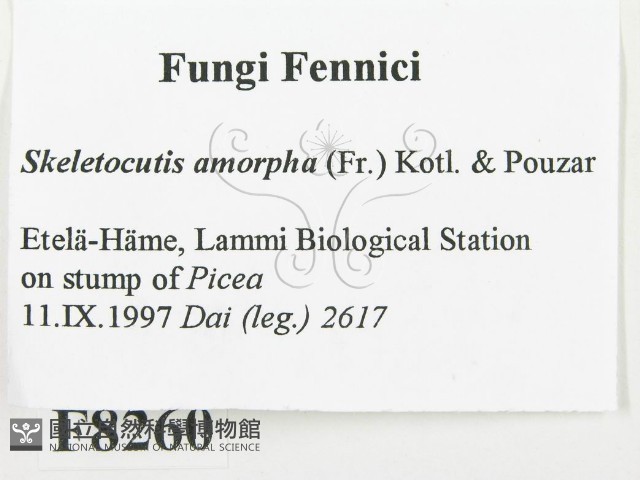 登錄號:F0008260藏品圖，第2張