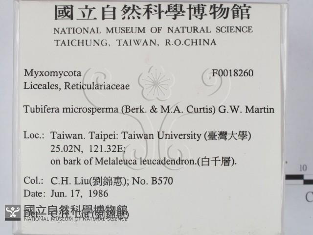 登錄號:F0018260藏品圖，第2張