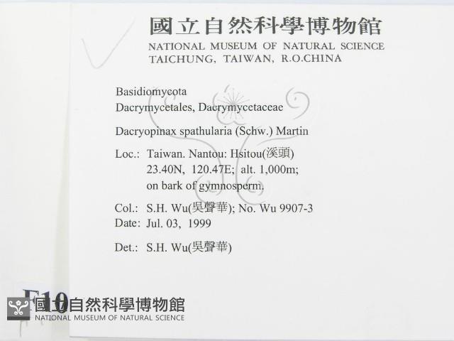 登錄號:F0010260藏品圖，第2張