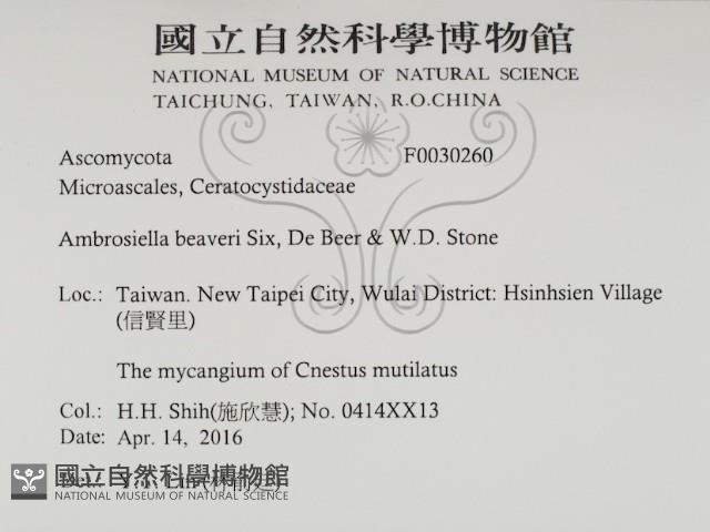 登錄號:F0030260藏品圖，第2張
