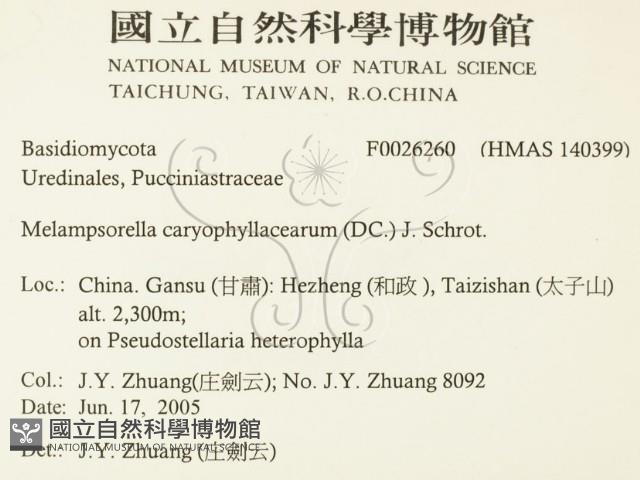 登錄號:F0026260藏品圖，第2張