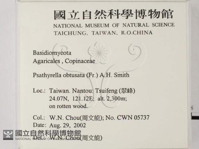 登錄號:F0016260藏品圖，第2張