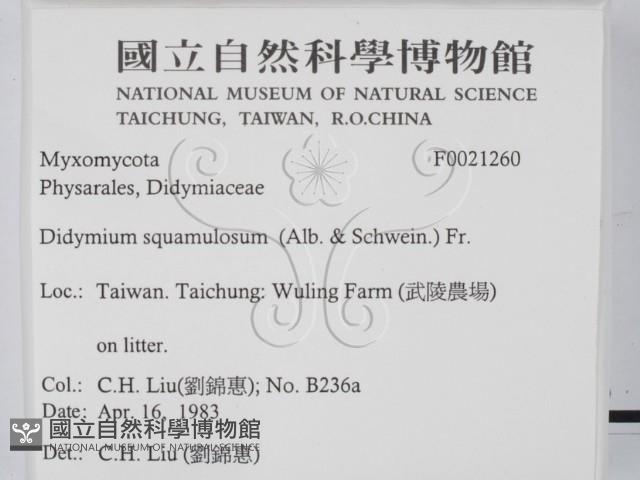 登錄號:F0021260藏品圖，第2張