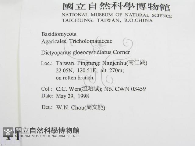 登錄號:F0011260藏品圖，第2張