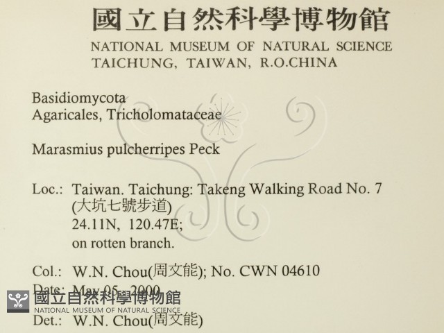 登錄號:F0014260藏品圖，第2張