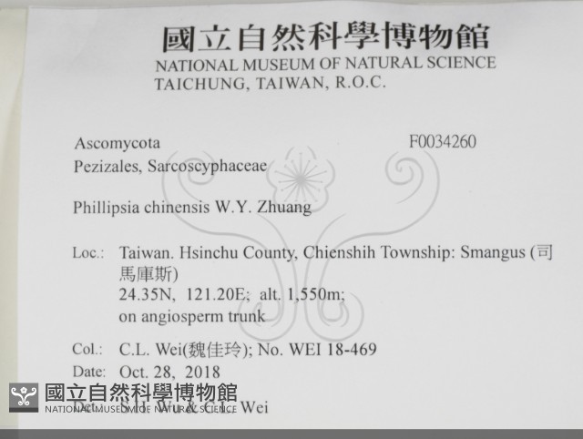 登錄號:F0034260藏品圖，第2張