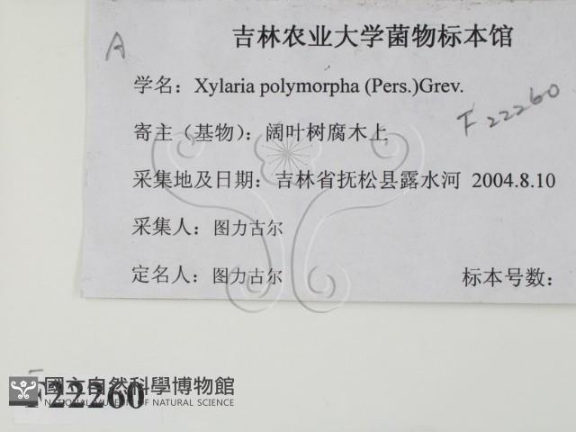 登錄號:F0022260藏品圖，第2張