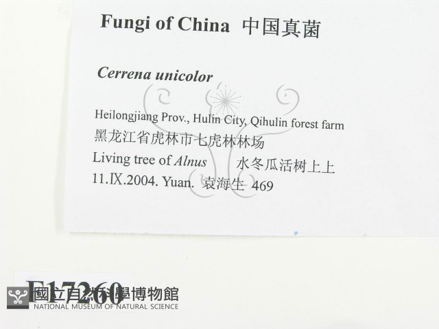 登錄號:F0017260藏品圖，第2張