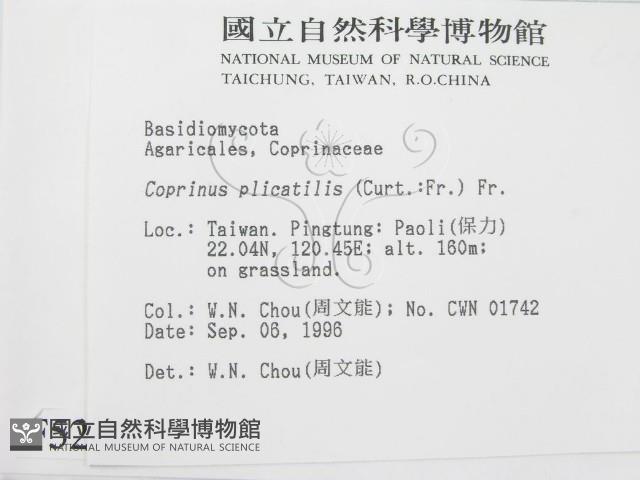 登錄號:F0005260藏品圖，第2張