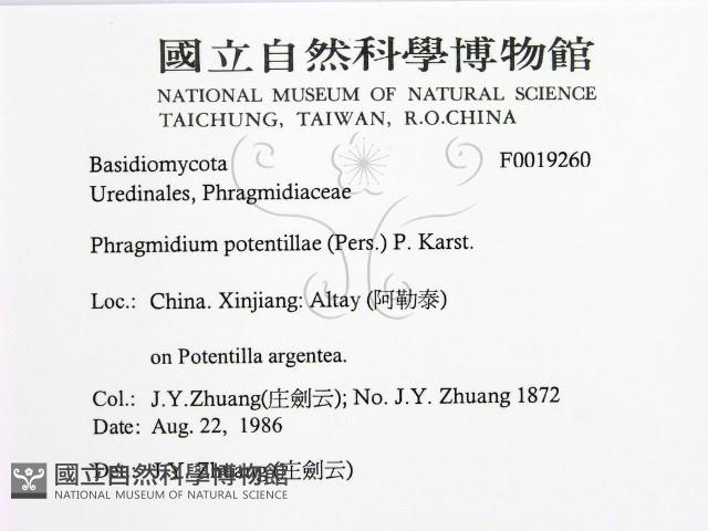 登錄號:F0019260藏品圖，第2張