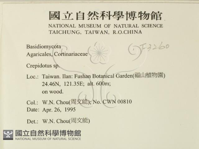 登錄號:F0003260藏品圖，第2張