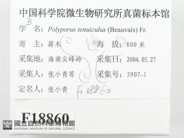 登錄號:F0018860藏品圖，第2張