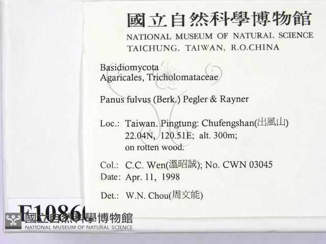 登錄號:F0010860藏品圖，第2張