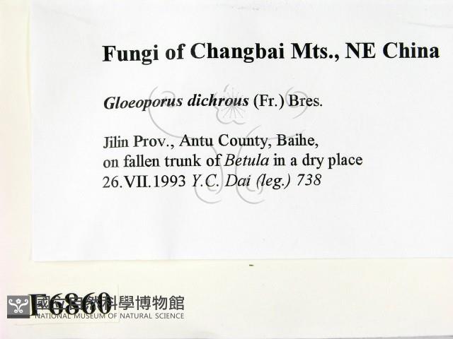 登錄號:F0006860藏品圖，第2張