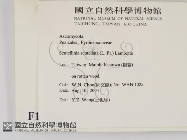 登錄號:F0016860藏品圖，第2張