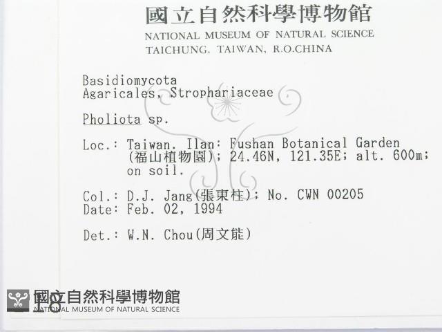 登錄號:F0001860藏品圖，第2張