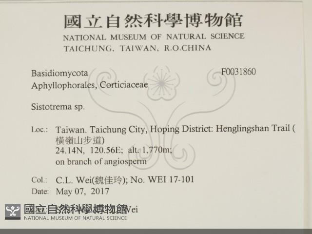 登錄號:F0031860藏品圖，第2張
