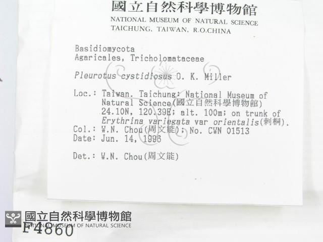 登錄號:F0004860藏品圖，第2張