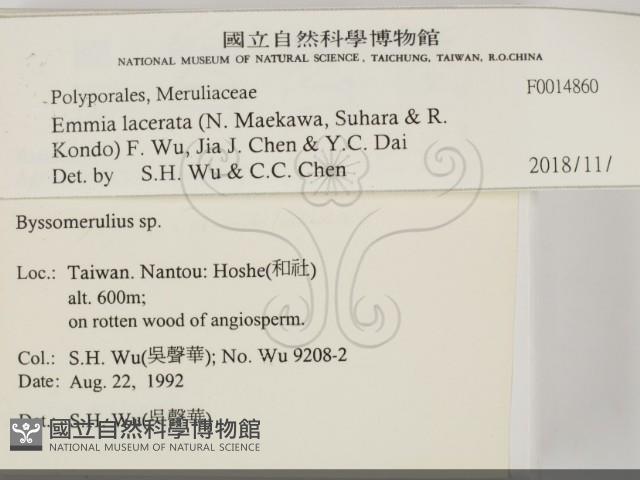 登錄號:F0014860藏品圖，第2張