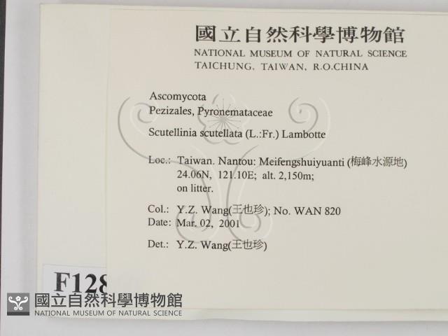 登錄號:F0012860藏品圖，第2張