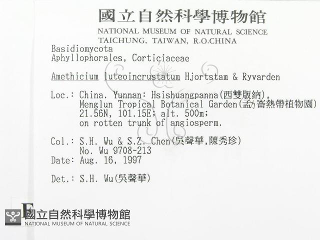 登錄號:F0007860藏品圖，第2張