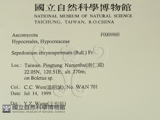 登錄號:F0009860藏品圖，第2張