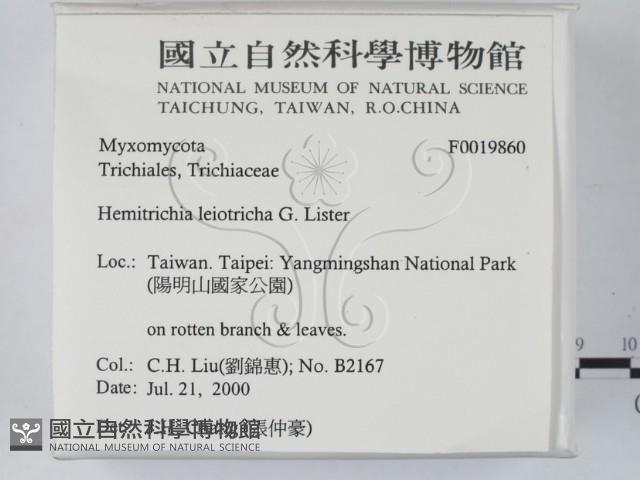 登錄號:F0019860藏品圖，第2張