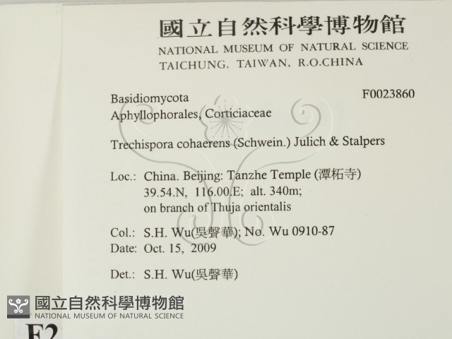 登錄號:F0023860藏品圖，第2張