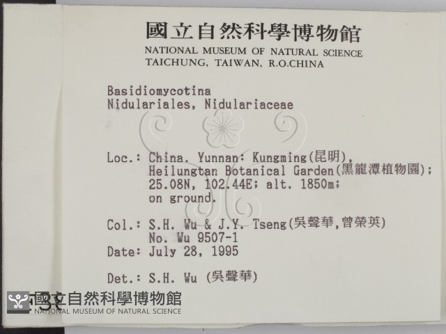登錄號:F0003860藏品圖，第2張