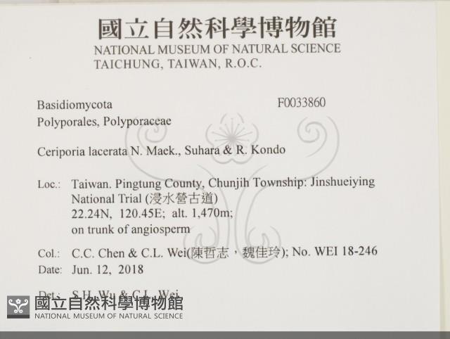 登錄號:F0033860藏品圖，第2張