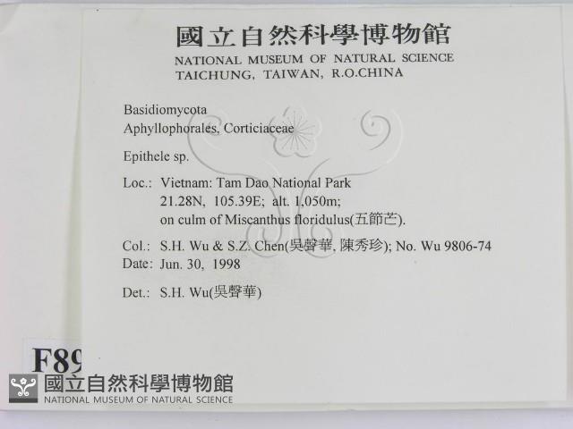 登錄號:F0008960藏品圖，第2張