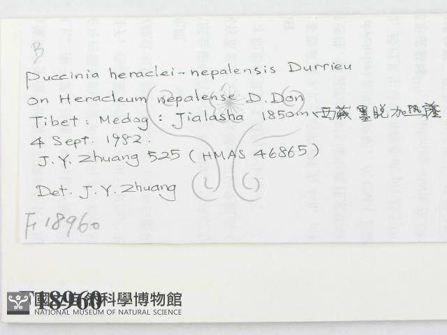 登錄號:F0018960藏品圖，第2張
