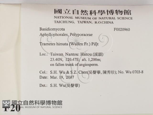 登錄號:F0020960藏品圖，第2張