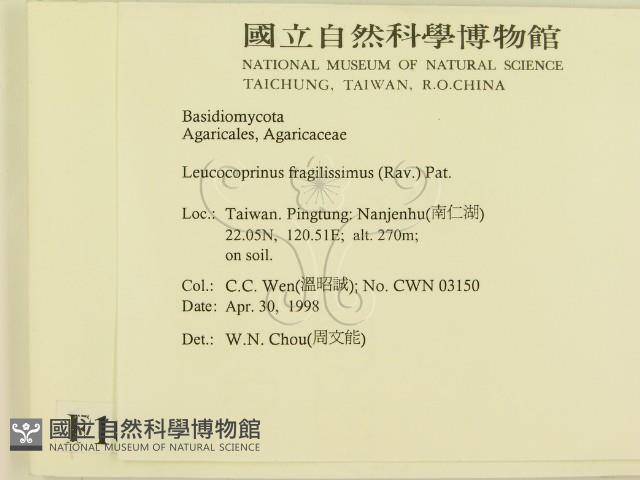 登錄號:F0010960藏品圖，第2張